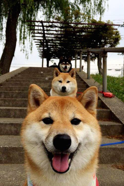 九游电子竞技-NBA赛季关键球员表现对比，nba本赛季数据最好的球员排名