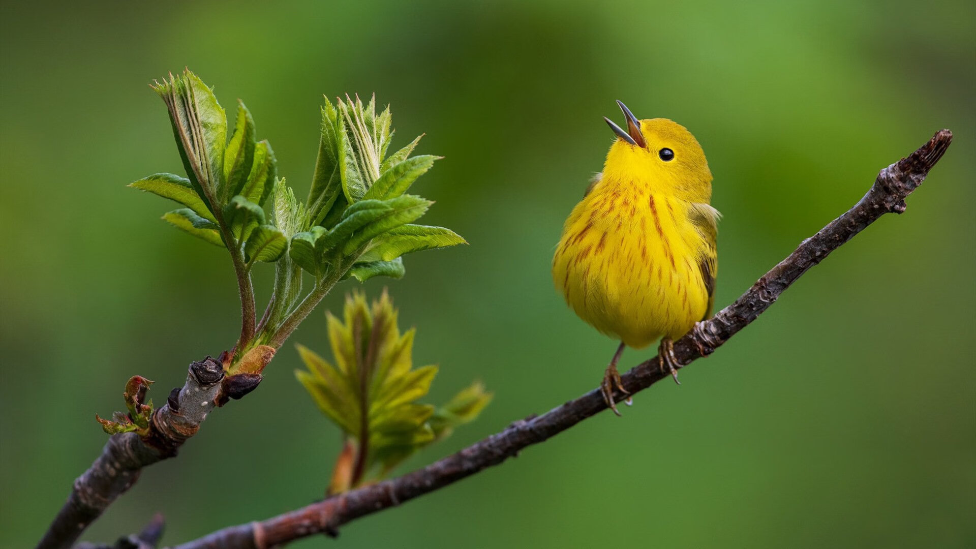 NBA赛季疲劳管理与运动表现关系研究，疲劳的三个关键参数