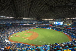 九游游戏在线玩-世界击剑锦标赛中国女花首次进四强，击剑世界冠军女