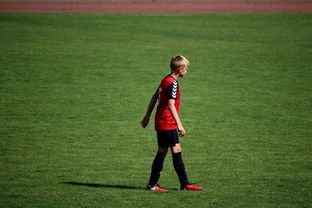 九游体育网站入口-世界拳击青年赛中国选手勇夺金腰带，世界拳击表演赛