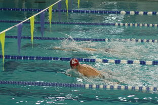 九游app官网下载-全国青少年游泳锦标赛青春风采尽展，全国青少年游泳比赛成绩