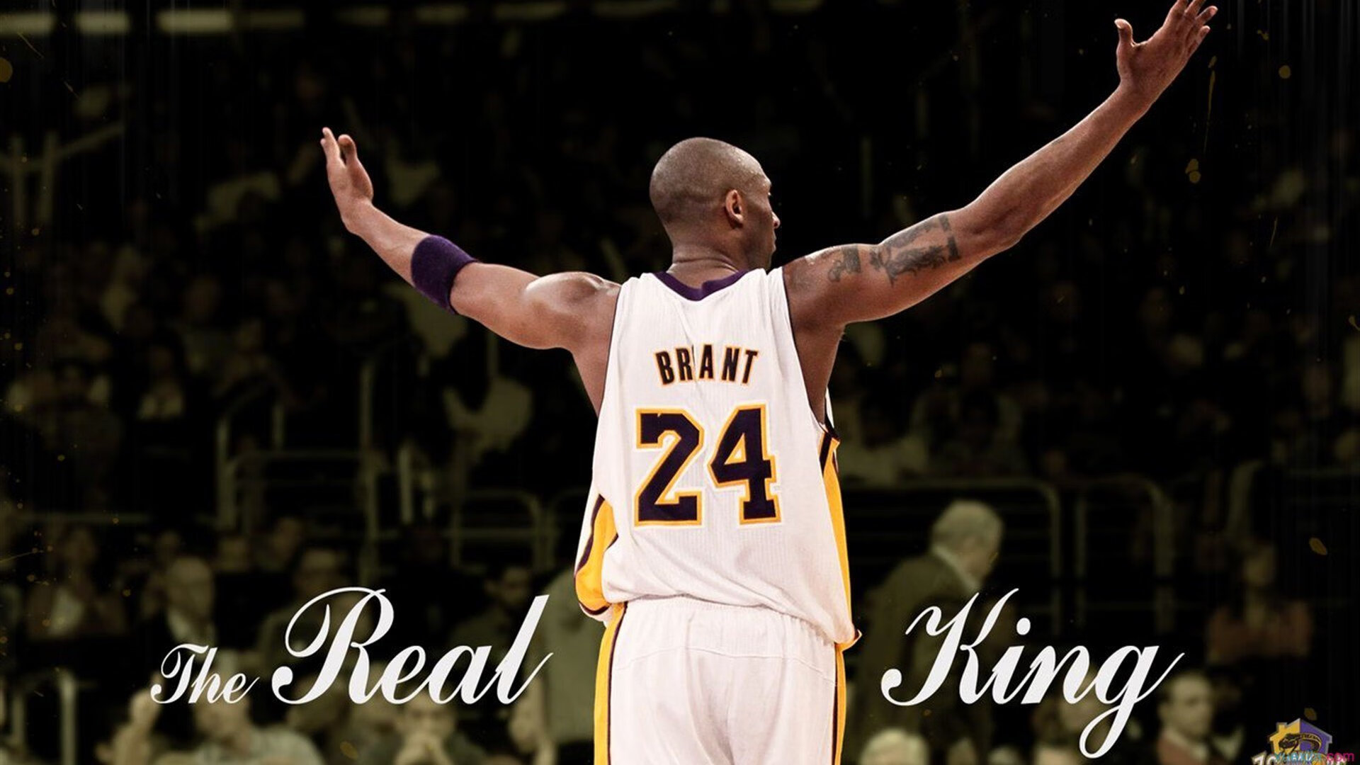 《英雄联盟》全球预选赛:燃情开启,王者之争激烈不断!,lol全球总决赛预测活动